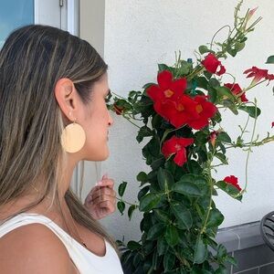 Stella&Ruby earrings